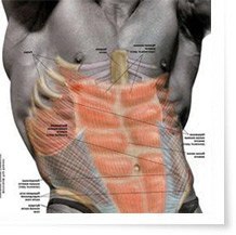 Купить турник в Минске