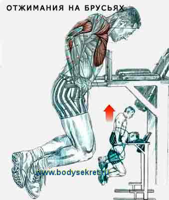 Купить турник в Минске