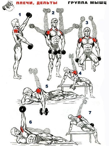 гантели обрезиненные купить bigsport.by