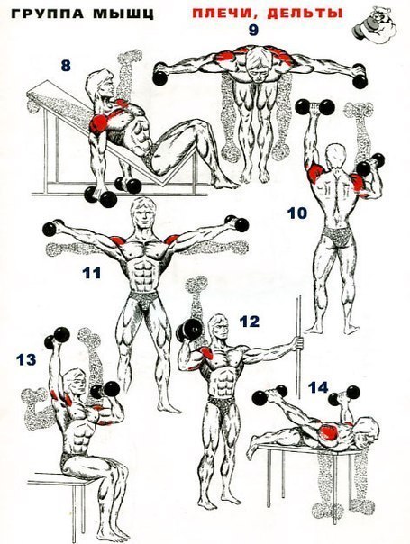 гантели обрезиненные купить bigsport.by (2)