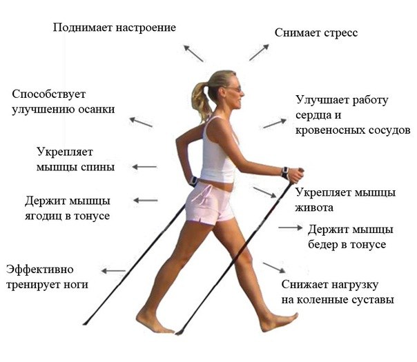 польза-скандинавской-ходьбы польза-скандинавской-ходьбы
