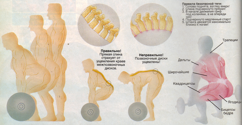 пояс тяжёлоатлетический для тяжёлой атлетики купить bigsport (1)