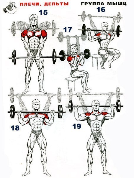 штанга для тяжёлой атлетики купить bigsport.by